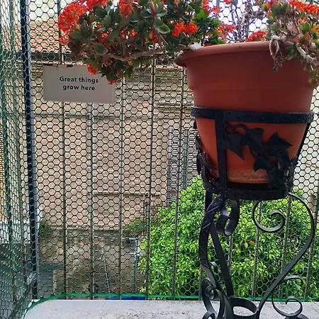 Bed & Breakfast Le Stanze Di Bruno